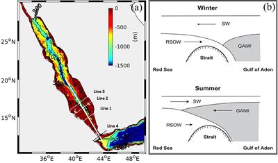 Hindrance effect of tides on water exchanges between the Red Sea and the Gulf of Aden